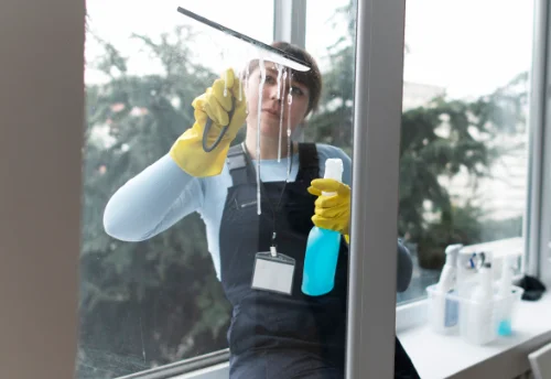 Nettoyage de vitres intérieures et extérieures à Condezaygues